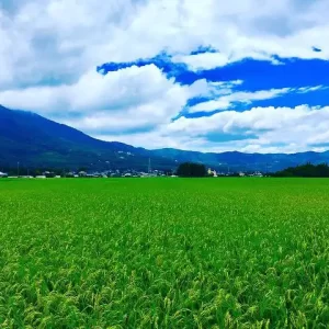 20836900_109404219752468_649080398646607872_n