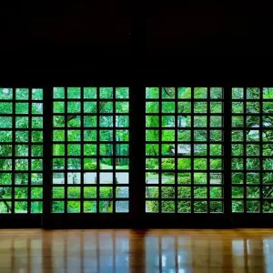 21041834_375856906166143_7762159540677640192_n