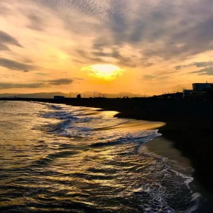 22220854_1231814486924883_4904284754276253696_n