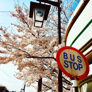 29418034_212819419448380_4348678816973979648_n